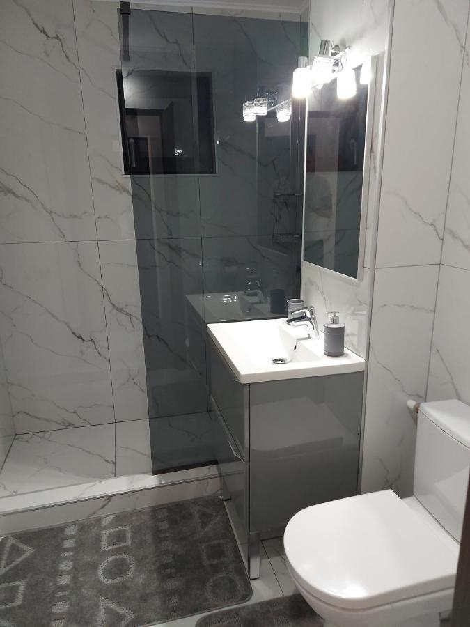 Cuza 21 Apartment Braila Bagian luar foto