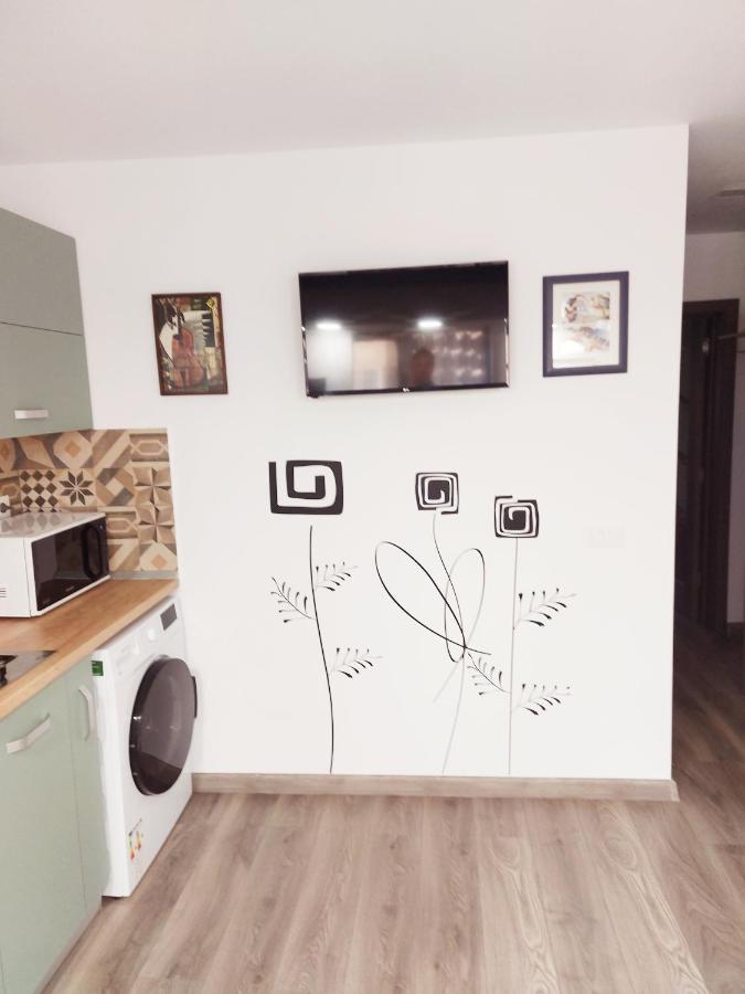Cuza 21 Apartment Braila Bagian luar foto